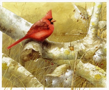 parrot on tree birds Oil Paintings